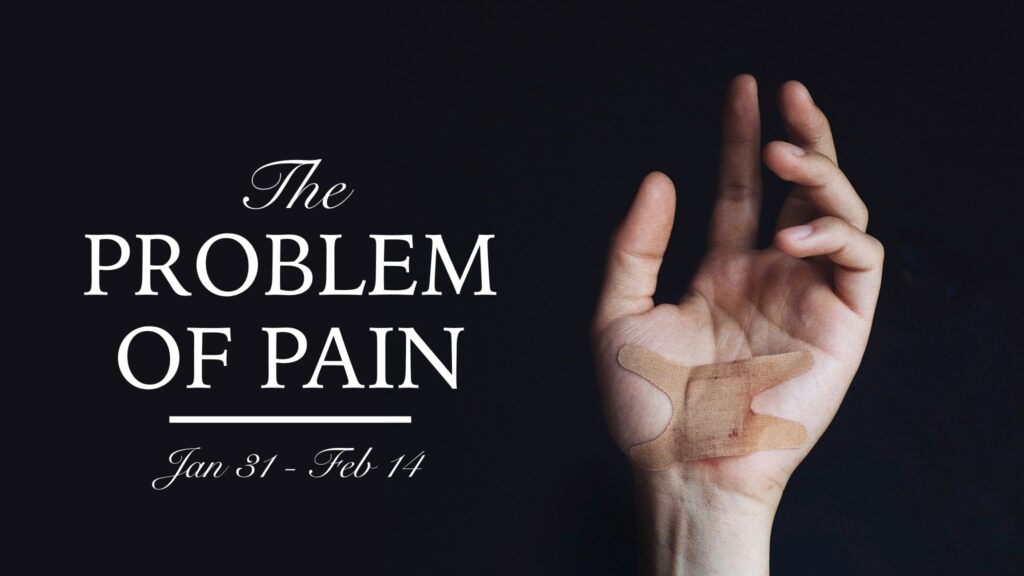 theproblemwithpain